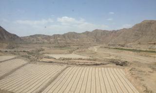 腾格里沙漠旅游攻略 腾格里沙漠旅游攻略