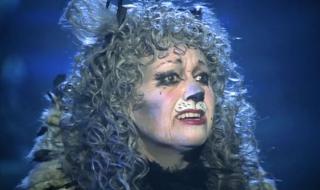 音乐剧猫中文版