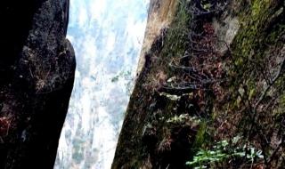 上海到黄山旅游价格 上海到黄山旅游价格