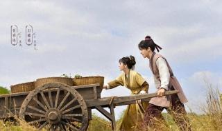 田耕纪男主身份 田耕纪男主身份