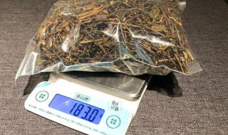原来普洱茶长这样 原来普洱茶长这样