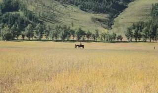 北京清明节去哪里玩 北京清明节去哪里玩