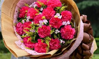 送妈妈什么花比较好 送妈妈什么花比较好