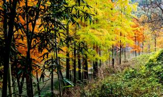 水色山光皆画本 水色山光皆画本