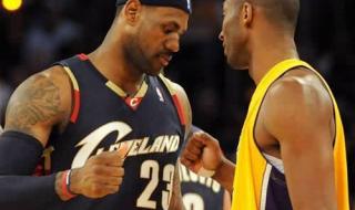 骑士总冠军是哪年